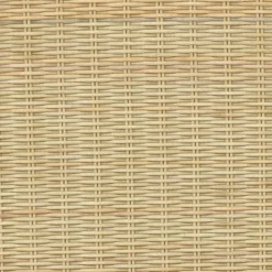 Chapin Modern Woven Dining Chair With Metal Legs Threshold - Threshold™ -Baxton Home Shop GUEST 2e2c1c0f 161c 4e96 b531 ea9943e8f5d3