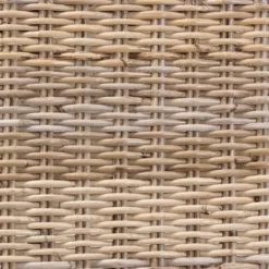 2pc Enver Rattan And Wood Dining Chair Set Natural/Brown - Bali & Pari -Baxton Home Shop GUEST 4bc1df80 376d 40e3 8667 19bcdad0ffb2