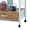 Commodious Kitchen Shelf On Casters White - Benzara 2 Commodious Kitchen Shelf On Casters White - Benzara -Baxton Home Shop GUEST 7e2fe819 c2f5 4e5e 99db d209d1deaf4b