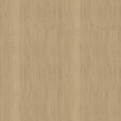 Esters Wood Arm Dining Chair Cream/Natural Wood - Threshold™ -Baxton Home Shop GUEST 871f2989 bac3 4007 9590 dd28e88834ee