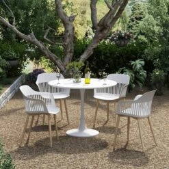 Set Of 2 Blake Chairs - Jamesdar -Baxton Home Shop GUEST e4951e0f d464 48fc 987a 34fb499c9129